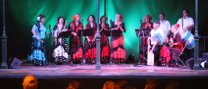 Gran espectacle de cant i ball flamenc de l’Associació Casa de Andalucía de Castellar del Vallès