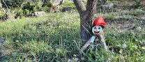 Benvingut tió