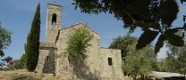 Vine i Camina +60: Castellar Vell