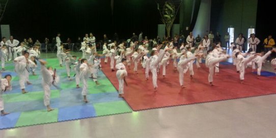 El Club Taekwondo World farà una exhibició al c. Galícia.