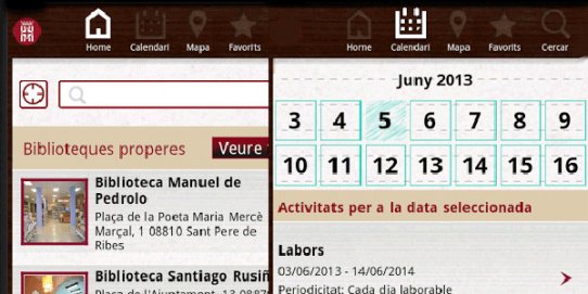 Imatge de l'aplicació.