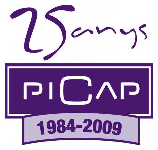 logo picap