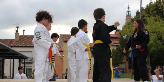 Imatge d'una edició anterior de l'exhibició de kenpo karate.