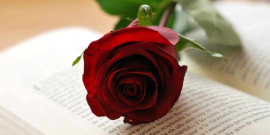 Les roses i els llibres tornaran per Sant Jordi aquest 2021 a la plaça d'El Mirador.
