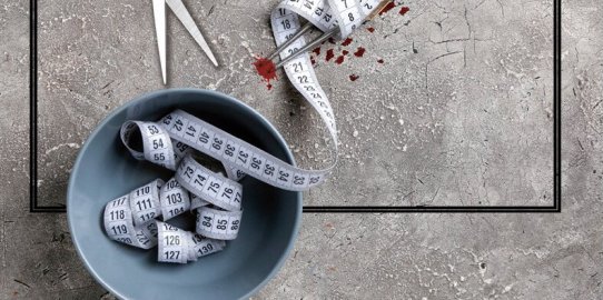 Fragment de la coberta del llibre.