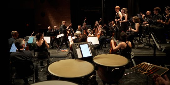 Imatge d'un concert anterior de la Kamerata Castellar.