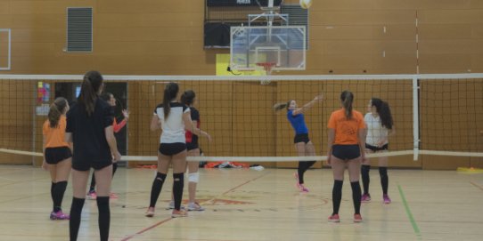 El torneig tindrà lloc al pavelló de Puigverd.