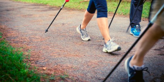 L'activitat consistirà en una ruta de 3 km pel nucli urbà.