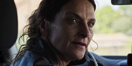 Imatge de "Los tortuga".