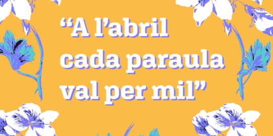 Imatge promocional de la campanya.