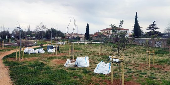 L'actuació s'ha fet al triangle verd situat entre el carrer de Josep Vicenç Foix, la ronda de Ponent i el carrer de Can Carner.