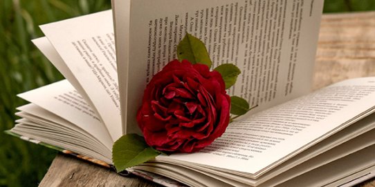 Imatge de Sant Jordi 2026.