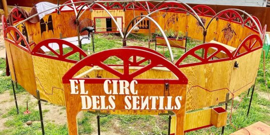 Imatge del circ dels sentits.