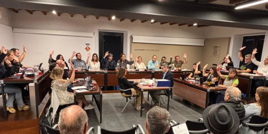 Imatge d'un Ple municipal anterior.