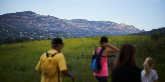 Imatge d'una edició anterior.