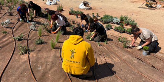 Part de l’alumnat de Jardineria de Les Garberes durant les feines d'arranjament. 