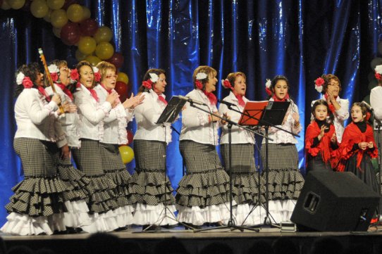 L'Associació Aires Rocieros Castellarencs serà un dels grups participants en l'exhibició de ball i cant