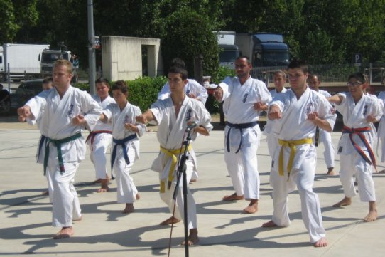 L'exhibició anirà a càrrec del campió Lorenzo Jiménez i alumnes de l'escola Linces Kenpo Karate 