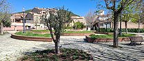L’Ajuntament planta dotze noves oliveres al centre urbà de la vila