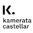 Presentació del projecte Kamerata Castellar, Orquestra de cambra