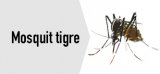 Campanya de prevenció
del mosquit tigre
Consulta alguns consells