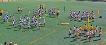 Al voltant de 225 alumnes de 1r i 2n de primària es reuneixen al camp de futbol a la 15 trobada “Dansem Plegats”